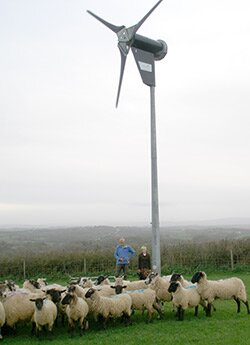 windmill and sheep
